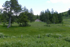04-Stoos
