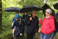 Kräuterwanderung-20192