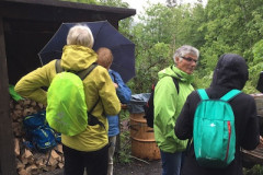 Kräuterwanderung-20194
