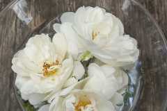 WhatsApp-Image-2021-06-23-at-18.29.13